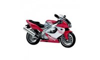 Mejores Carenados Yamaha YZF1000R Thunderace