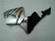 ABS Moto Plástico CBR 600 RR 2005-2006 - Plata
