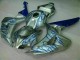 Carenado Moto CBR 1000 RR 2006-2007 - Azul Llama Plata