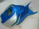 Carenado Moto CBR 1000 RR 2006-2007 - Azul Plata Carenado Moto CBR 1000 RR 2006-2007 - Azul Plata