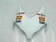 Carenado Moto CBR 1000 RR 2008-2011 - San Carlo