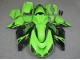 Carenado Moto ZX14R ZZR 1400 2006-2011 - Verde Negro