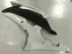 Carenados Moto R6 2008-2016 - Blanco