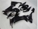 Carrocería Motocicletas ZX10R 2008-2010 - Brillante Negro Carrocería Motocicletas ZX10R 2008-2010 - Brillante Negro