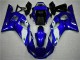 Kit ABS Carenado Motocicleta R6 1998-2002 - Azul