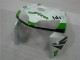 Kit Carenado ABS Completo CBR 600 RR 2005-2006 - Verde