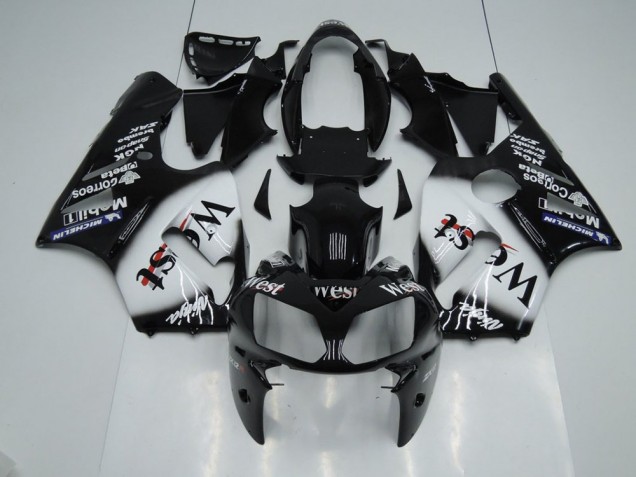 Kit Completo Carenado Moto ZX12R 2002-2006 - West