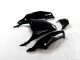 Kit Completo Carenado Moto ZX14R ZZR 1400 2012-2021 - Negro Verde Kit Completo Carenado Moto ZX14R ZZR 1400 2012-2021 - Negro Verde