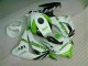 Kits Completo Carenado Moto CBR 1000 RR 2008-2011 - Verde Blanco Kits Completo Carenado Moto CBR 1000 RR 2008-2011 - Verde Blanco
