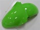 Mejores Carenados Moto Kawasaki ZX6R 2000-2002 - Verde Negro