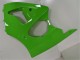 Mejores Carenados Moto Kawasaki ZX6R 2000-2002 - Verde Negro