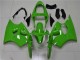 Mejores Carenados Moto Kawasaki ZX6R 2000-2002 - Verde Negro