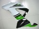 Mejores Carenados Moto Kawasaki ZX6R 2013-2018 - Verde Blanco Negro Brillante