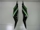 Mejores Carenado Moto Kawasaki ZX6R 2013-2018 - Verde Negro Brillante