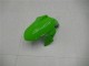 Mejores Carenados Moto Kawasaki Ninja 300 EX300R 2013-2024 - Blanco Verde Negro