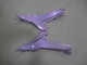Mejores Carenados Moto Kawasaki Ninja 650 EX650 2020-2025 - Camaleón Gris Dazz Púrpura Perla