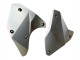 Mejores Carenados Moto Kawasaki Ninja H2 2015-2022 - Plata