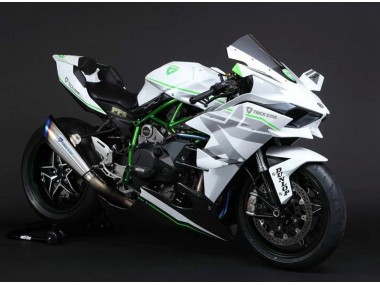Mejores Carenados Moto Kawasaki Ninja H2 2015-2022 - Blanco Plata Verde