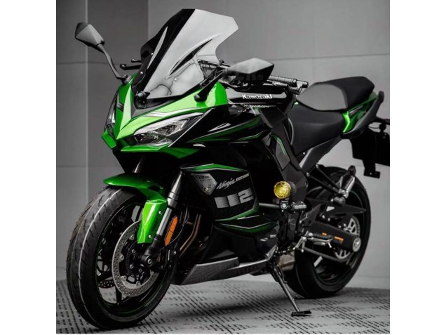 Mejores Carenado Moto Kawasaki Z1000SX 2020-2025 - Negro Verde Ninja