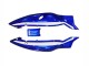 Mejores Carenados Moto Yamaha YZF600R Thundercat 1996-2007 - Azul Blanco Negro