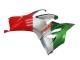 Mejores Carenados Moto Ducati Panigale V2 2020-2024 - Plata Rojo Verde