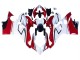 Mejores Carenados Moto Ducati Panigale V4 V4S 2018-2019 - Blanco Rojo Verde Negro Brillante