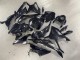 Mejores Carenados Moto BMW S1000RR 2023-2024 - Negro Brillante FibraCarbono