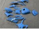 Mejores Carenados Moto BMW S1000RR 2023-2024 - Azul Brillante