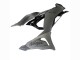Mejores Carenados Moto Kawasaki ZX6R 2023-2025 - Gris Ninja