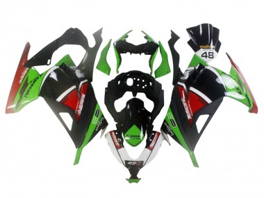 Mejores Carenados Moto Kawasaki EX300 2013-2024 - Verde Blanco Rojo Negro Elf
