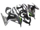 Mejores Carenados Moto Kawasaki EX300 2013-2024 - Negro Brillante Negro Mate Verde