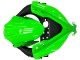 Mejores Carenados Moto Kawasaki EX300 2013-2024 - Verde Plata Negro