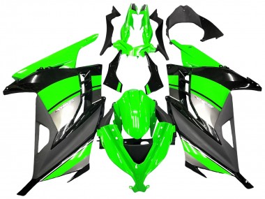 Mejores Carenados Moto Kawasaki EX300 2013-2024 - Verde Plata Negro