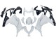 Mejores Carenados Moto Kawasaki EX300 2013-2024 - Blanco Negro