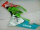 Mejores Carenados Moto Kawasaki ZX6R 2009-2012 - Verde Blanco Rojo Negro Azul Motocard