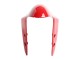 Mejores Carenados Moto Ducati 1299 2015-2020 - Rojo