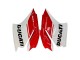 Mejores Carenados Moto Ducati 1299 2015-2020 - Blanco Rojo Verde Negro Mate