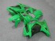 Mejores Carenados Moto Kawasaki EX250 2008-2012 - Verde Negro