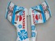 Mejores Carenados Moto Honda CBR1000RR 2004-2005 - Blanco Azul Nieve Nastro Azzurro 46
