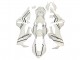 Mejores Carenados Moto Honda CBR1000RR 2017-2023 - Blanco Negro Raya Fireblade