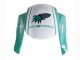 Mejores Carenados Moto Honda CBR600RR 2005-2006 - Verde Claro Blanco Negro Brillante Joe Rocket