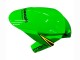 Mejores Carenados Moto Kawasaki ZX10R 2016-2020 - Verde Amarillo Rojo Negro Elf Monstruo