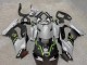 Mejores Carenados Moto Kawasaki ZX10R 2021-2025 - Gris Negro Mate Verde Blanco Elf Nieve Monstruo