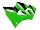 Mejores Carenados Moto Kawasaki ZX6R 2000-2002 - Verde Blanco Negro
