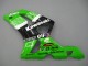 Mejores Carenados Moto Kawasaki ZX6R 2003-2004 - Verde Blanco Negro Elf Bridgestone