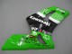 Mejores Carenados Moto Kawasaki ZX6R 2003-2004 - Verde Blanco Negro Elf Bridgestone