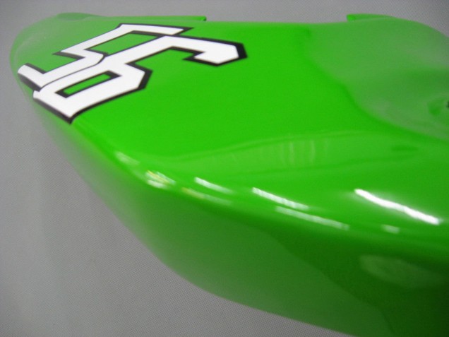 Mejores Carenados Moto Kawasaki ZX6R 2003-2004 - Verde Blanco Negro Elf Bridgestone