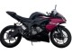 Mejores Carenados Moto Kawasaki ZX6R 2019-2022 - Negro Brillante Rosa Ninja