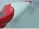 Mejores Carenados Moto Yamaha YZF 1000 R1 1998-1999 - Rojo Blanco Negro Dunlop