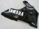 Mejores Carenados Moto Yamaha YZF 1000 R1 2000-2001 - Negro Brillante Blanco Calcomanía